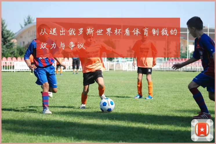 从退出俄罗斯世界杯看体育制裁的效力与争议